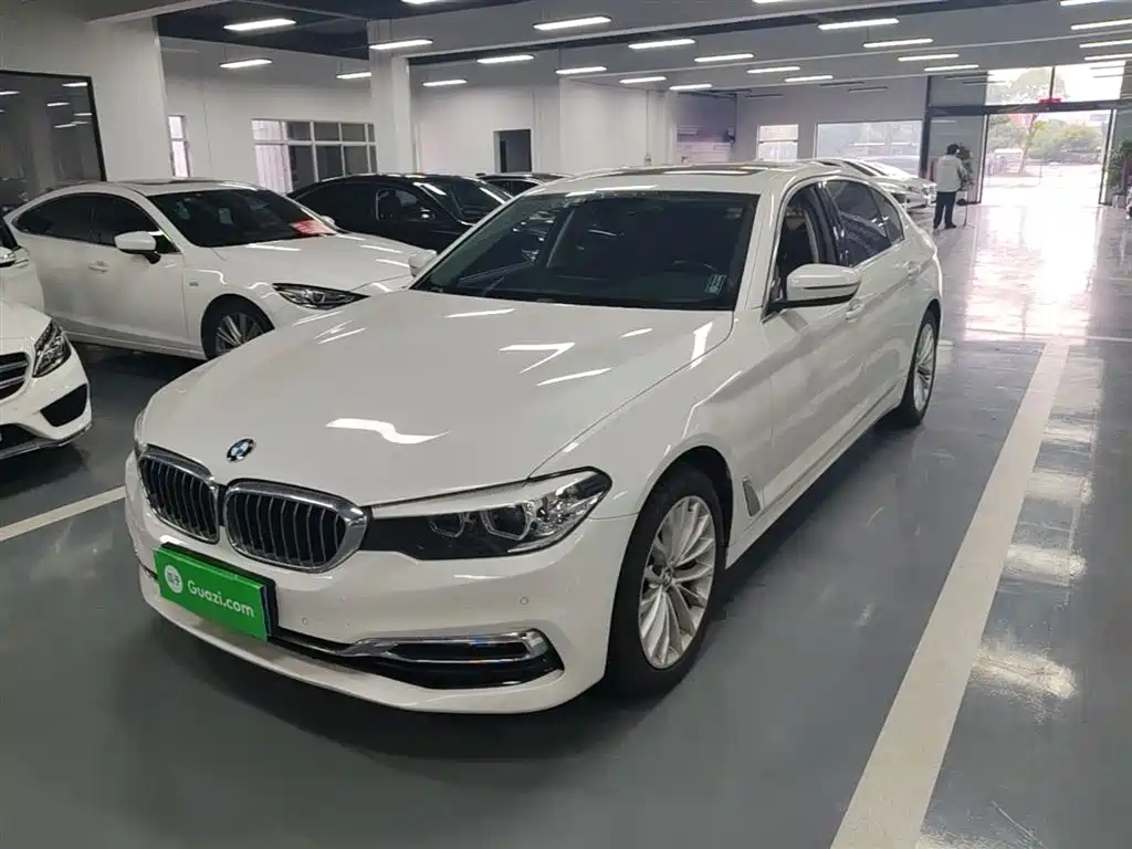 BMW 5 Series 2019 525Li Luxury Package фото 2