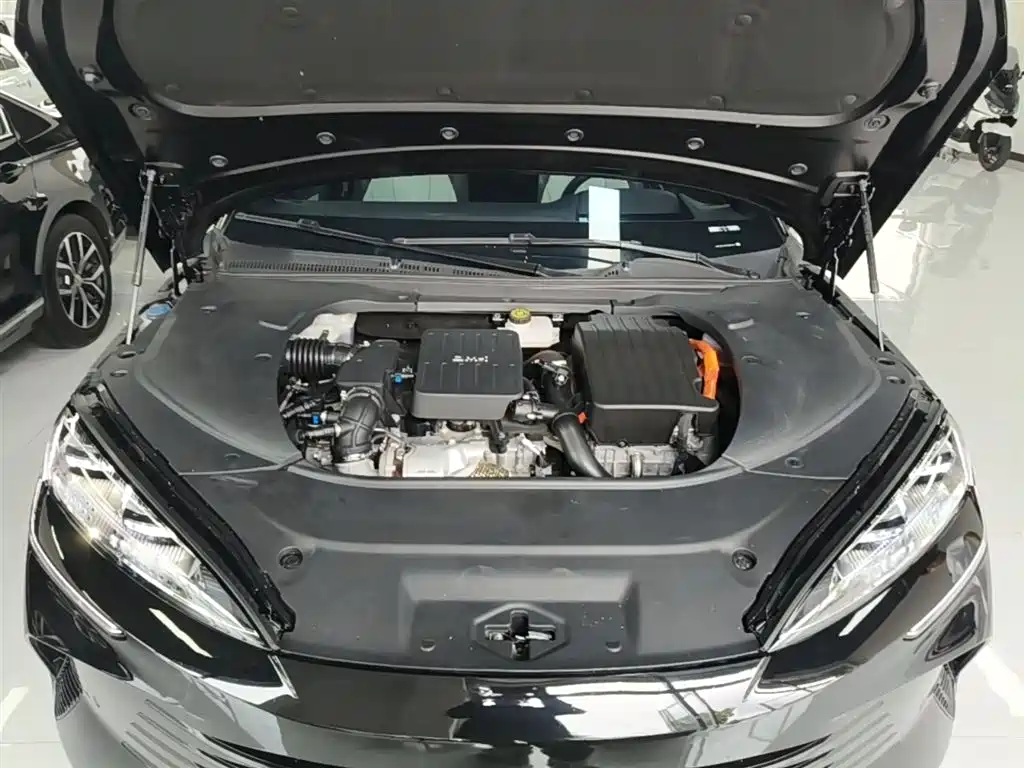 BYD Seal 2023 DM-i 1.5T 121km Flagship фото 20