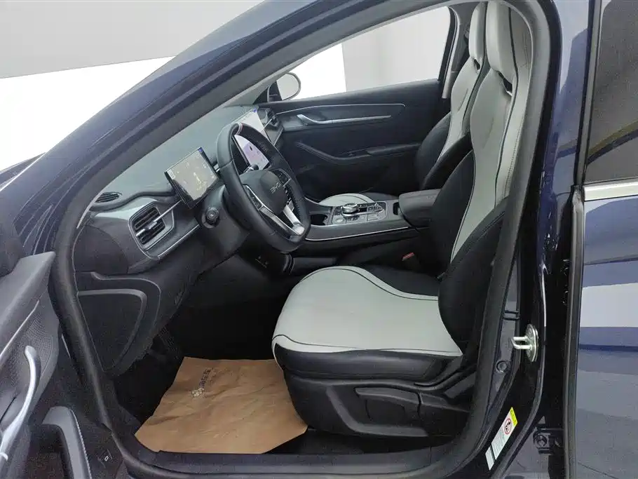 BYD Destroyer 05 2024 Glory Edition DM-i 55KM Luxury фото 8