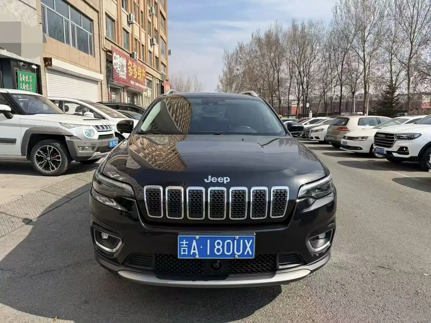 Jeep Cherokee 2019 2019 2.0T 4WD Adventure Edition China V