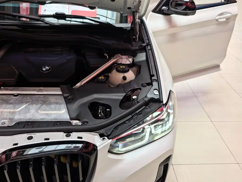 BMW X3 2023 xDrive30i Leading M Night Package фото 21