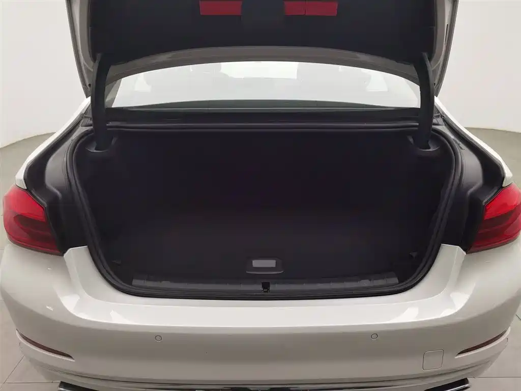 BMW 5 SERIES NEW ENERGY