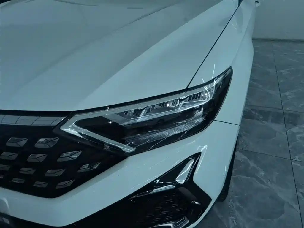 Фото 24 - Jetta VS5