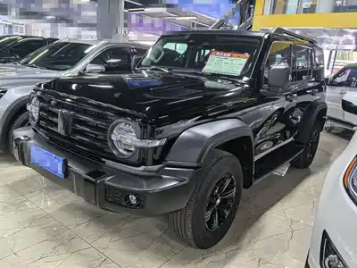 Tank 300