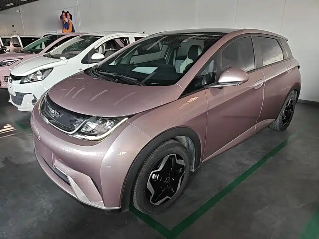 Фото 1 - BYD Dolphin