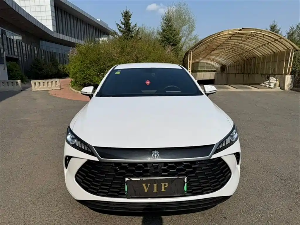 BYD Qin PLUS 2025 DM-i Smart Drive 55KM Leader фото 2