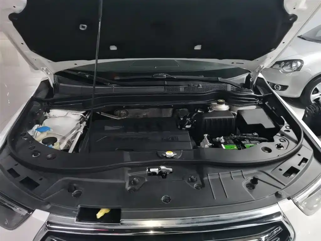Haval H6 2017 Facelift Blue Label Sports Edition 1.5T Automatic 2WD Luxury фото 20