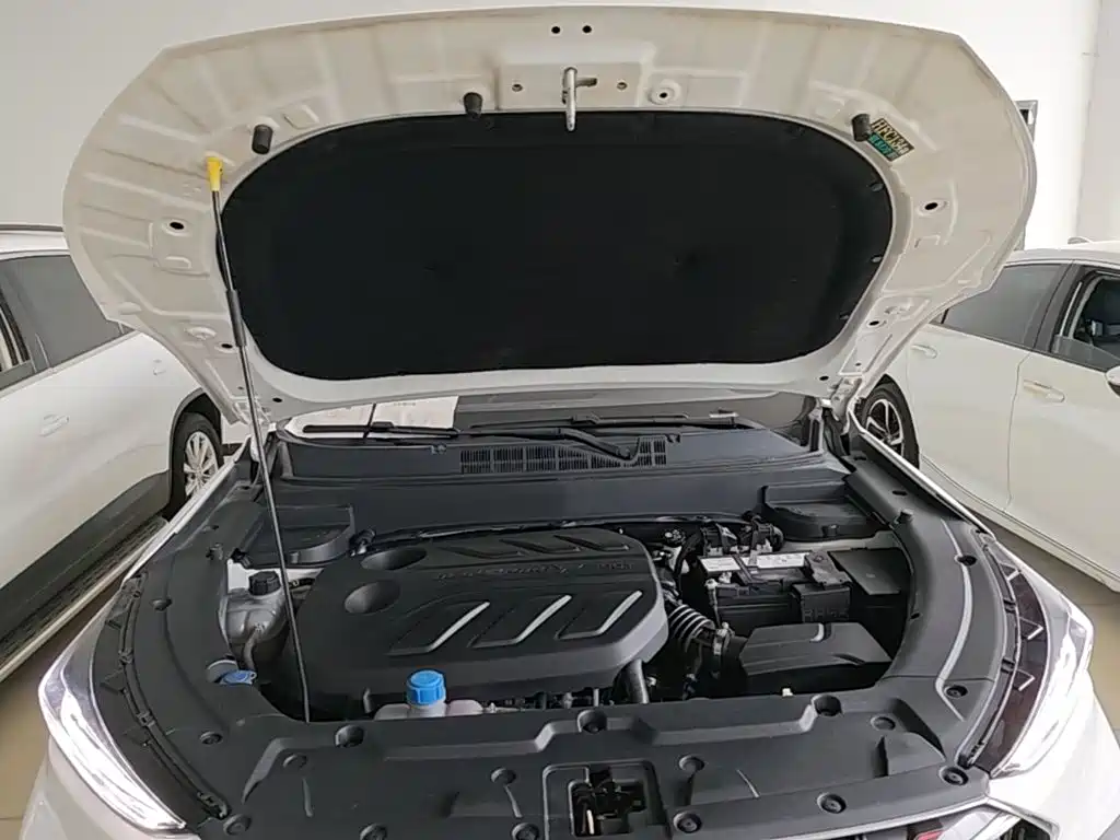 Фото 20 - Changan Oshan Changan Oushang X5