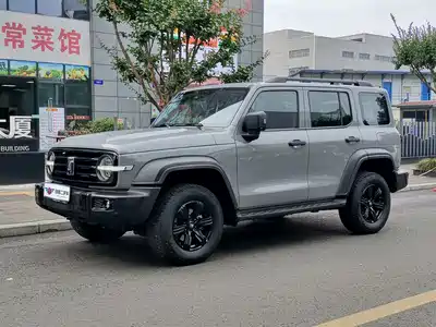 Tank 300