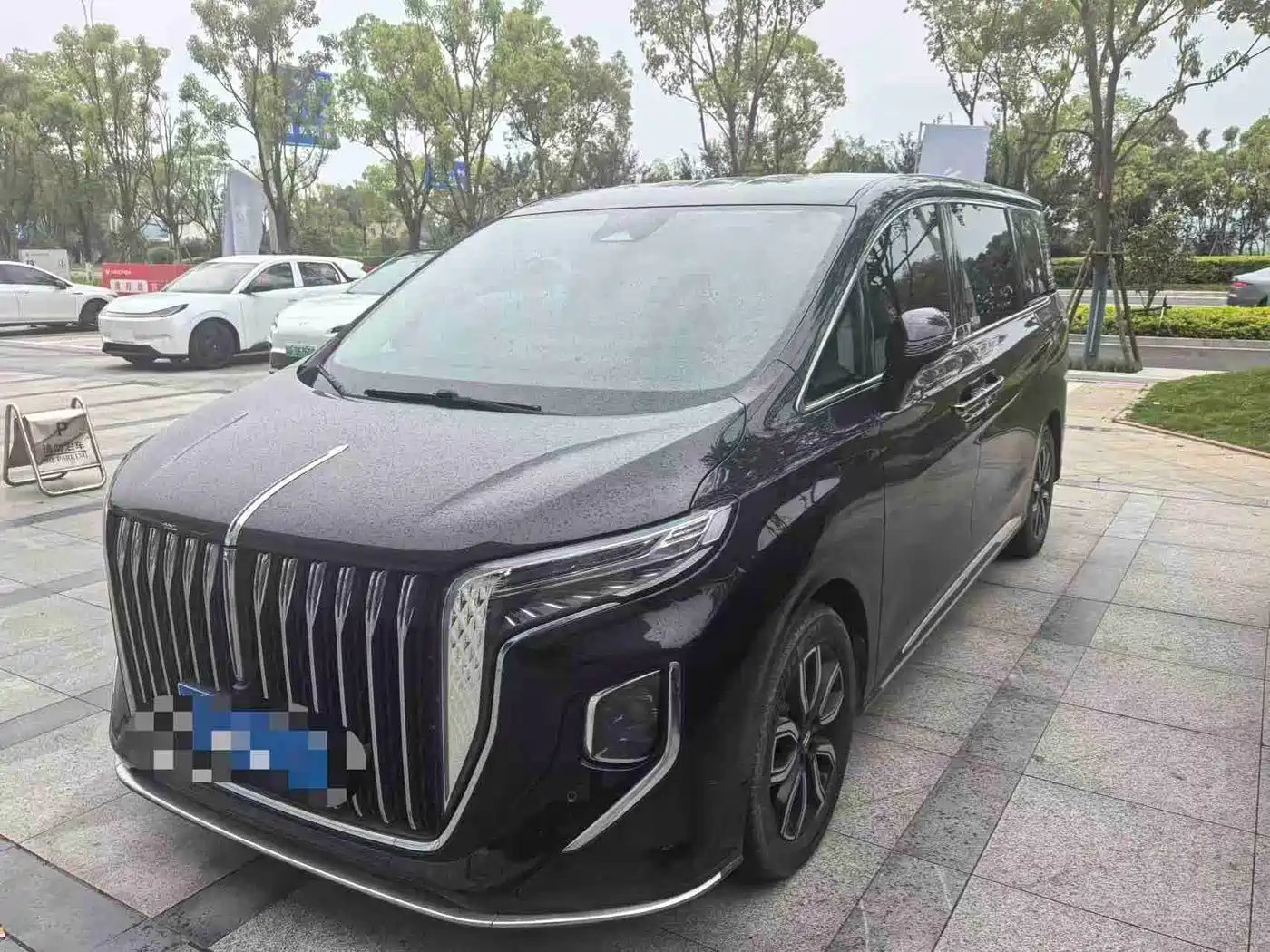 Hongqi HQ9 2023 2.0T Smart Connect Flag Enjoy Edition