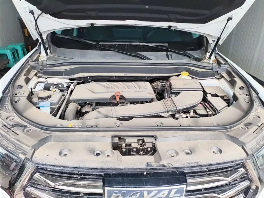 Haval H6 2021 National Trend Edition 1.5GDIT Automatic Champion Edition фото 20