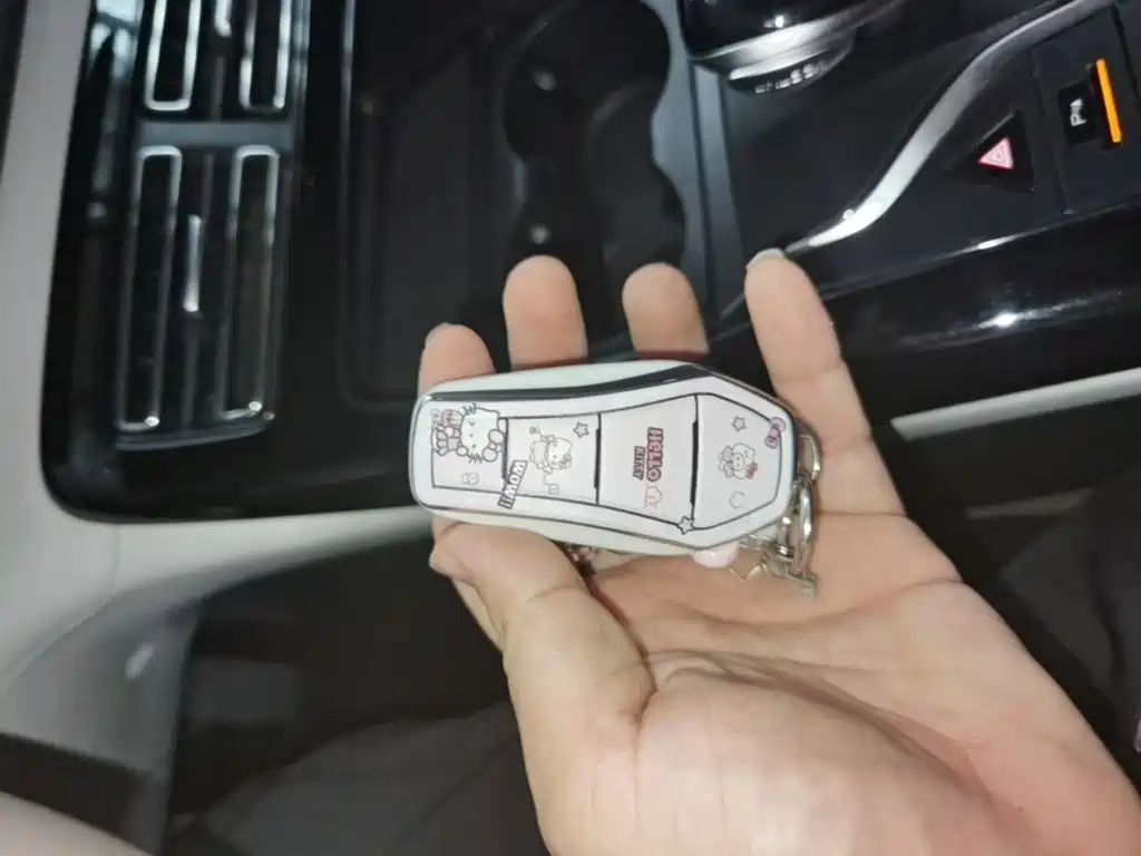 Фото 9 - BYD Qin PLUS
