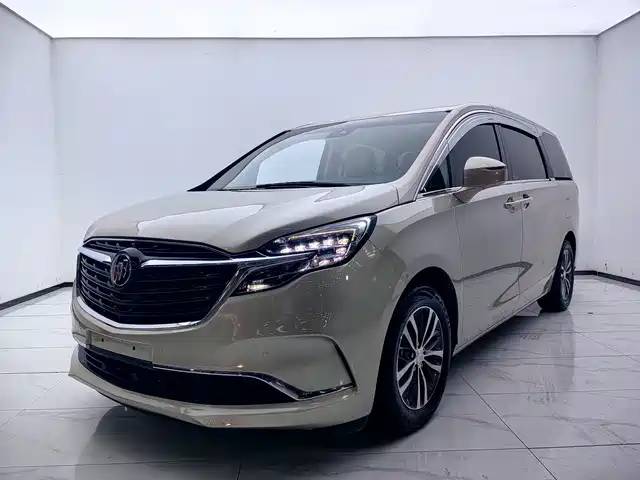 Buick GL8 ES Люкс, 653T, Престиж
