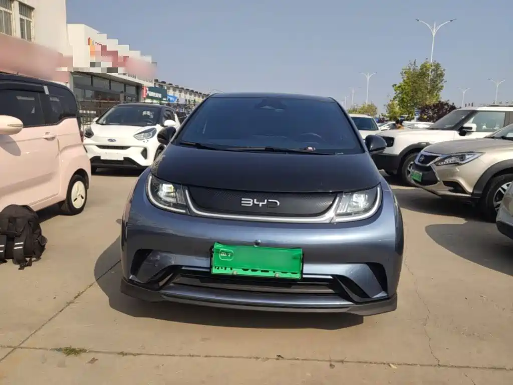 Photo 3 - BYD Dolphin