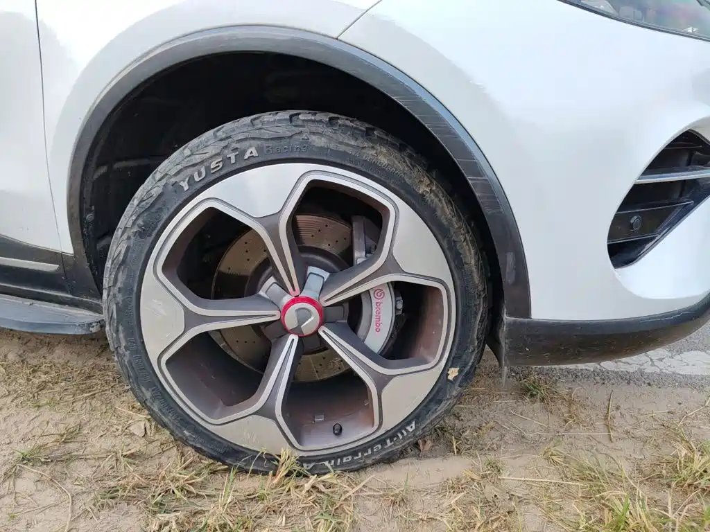Denza X 2021 2020 Model PHEV Flagship Edition