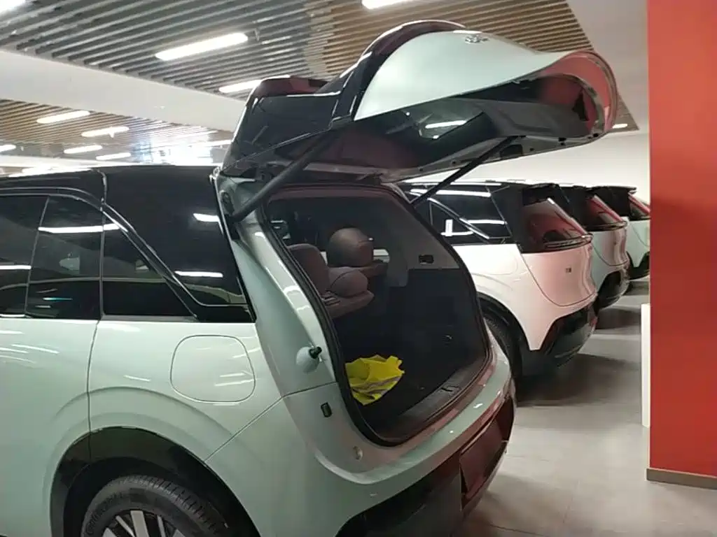 ZEEKR MIX 2026 2025 Smart Driving Edition