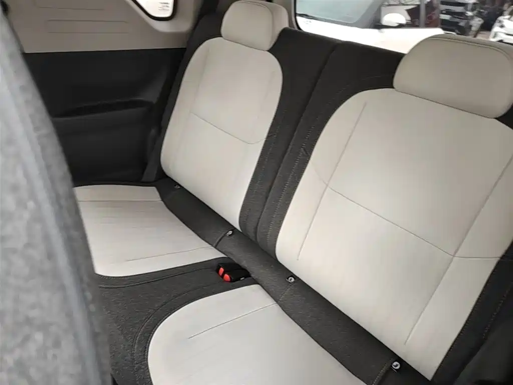 Geely Galaxy Panda 2025 Panda mini 210km Vitality Bear фото 17