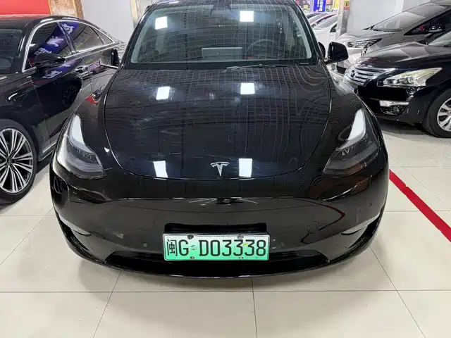 Tesla Model Y 2021 Standard Range Rear-Wheel Drive