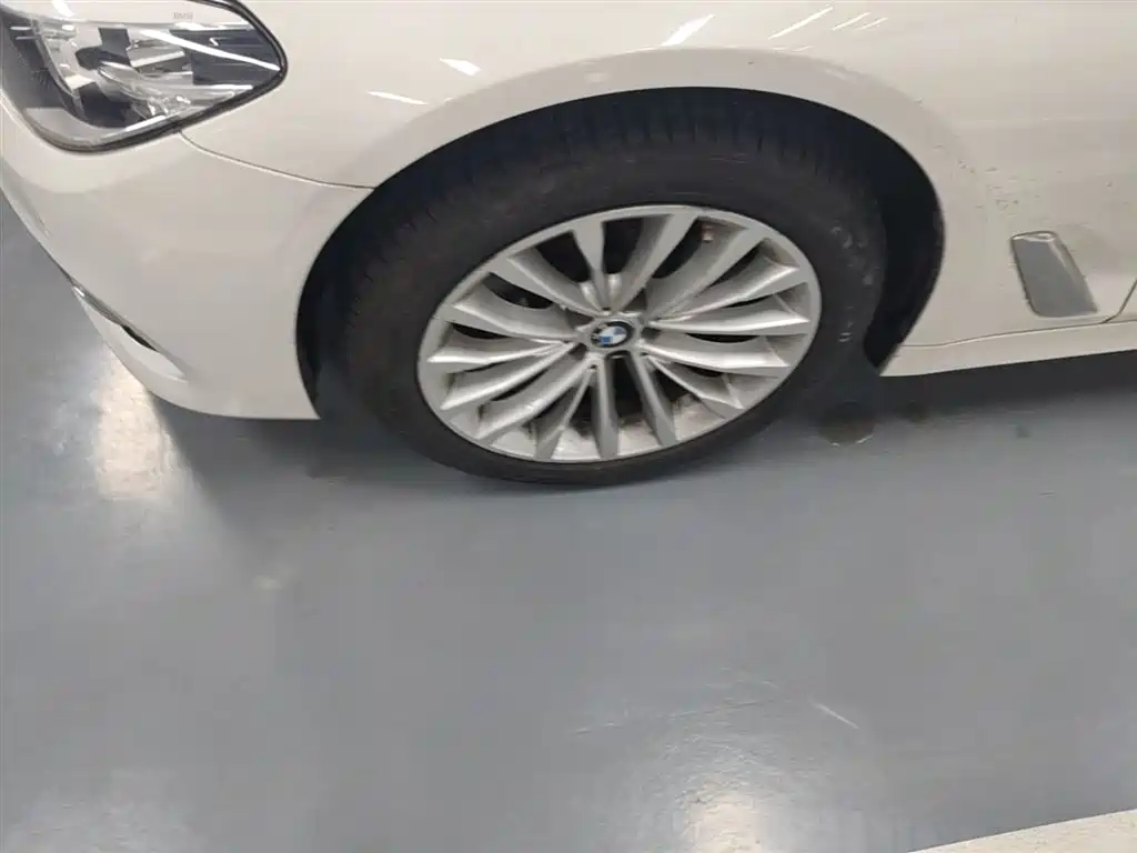 BMW 5 Series 2019 525Li Luxury Package фото 22