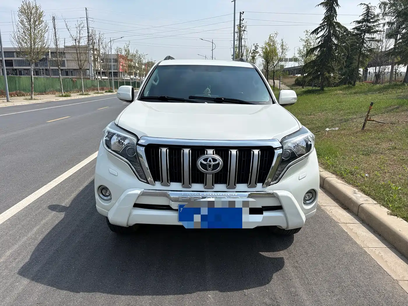 Toyota Prado (Import) 2010 2.7L Auto Luxury фото 2