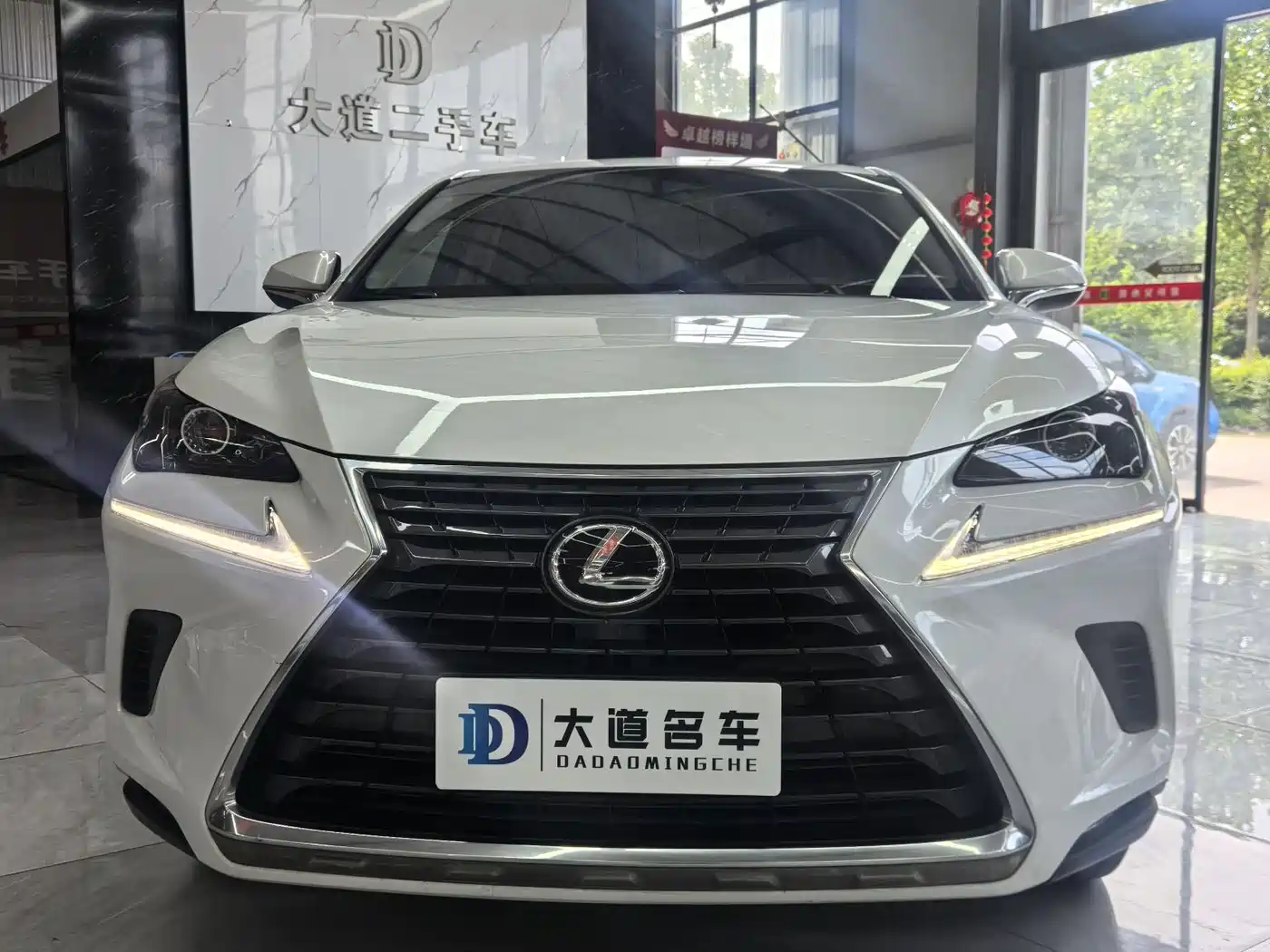 LEXUS NX