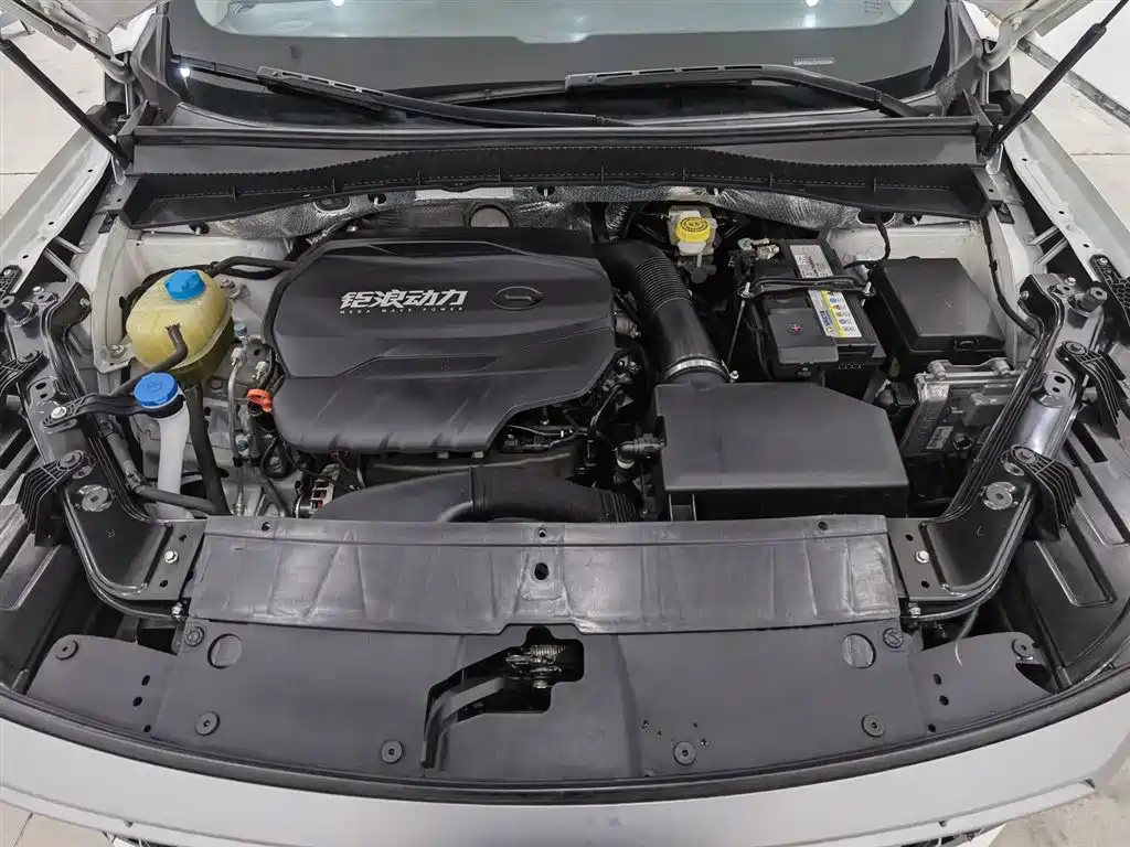 GAC Trumpchi Trumpchi GS4 PLUS 2022 390T Automatic Galaxy Edition фото 6