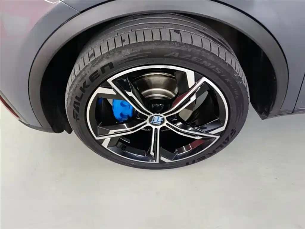 BYD Tang New Energy 2021 DM-i 112KM Honor фото 23