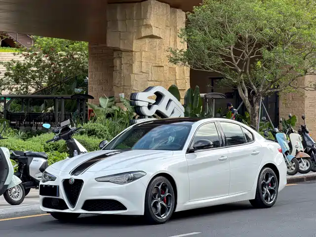 Alfa Romeo Giulia 2019 2.0T 280HP Black Package Limited Edition