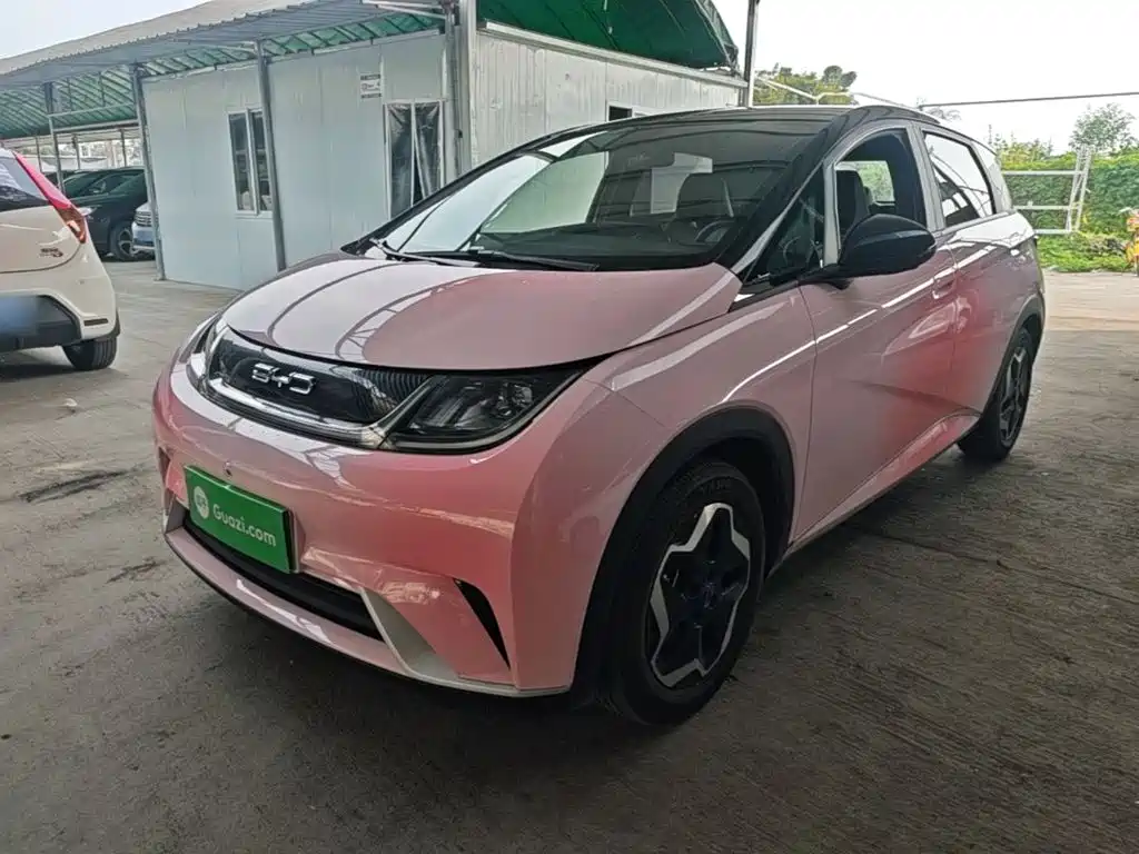 BYD Dolphin 2021 Model 405km Fashion Edition