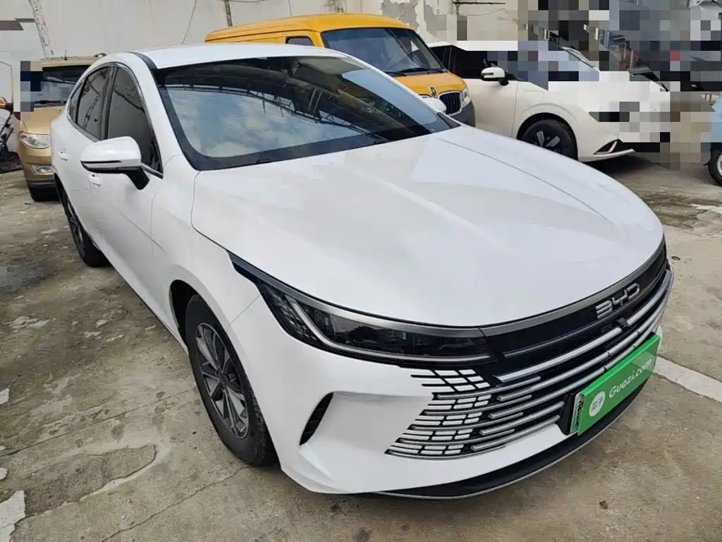 BYD Destroyer 05 2025 2024 Glory Edition DM-i 55KM Luxury