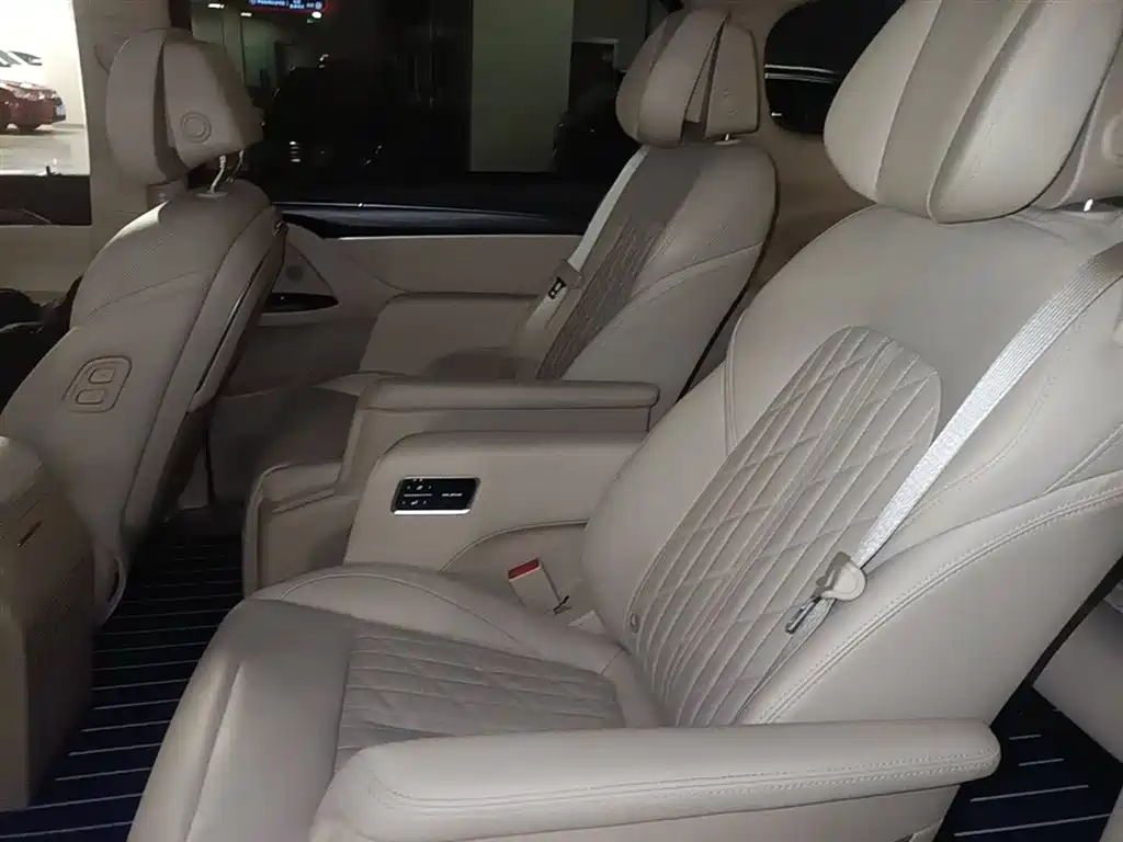 Buick GL8 2023 ES Landmaster Luxury фото 24