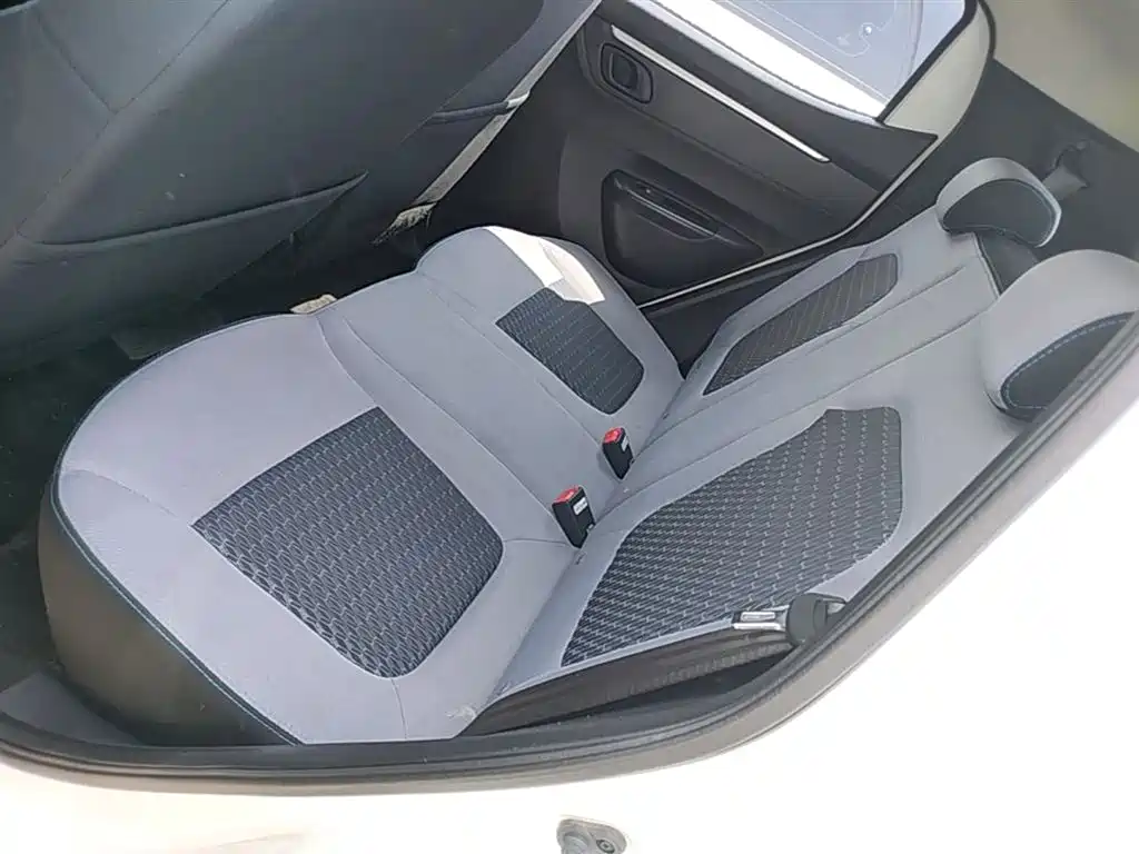 Venucia e30 2022 2021 Elite Edition