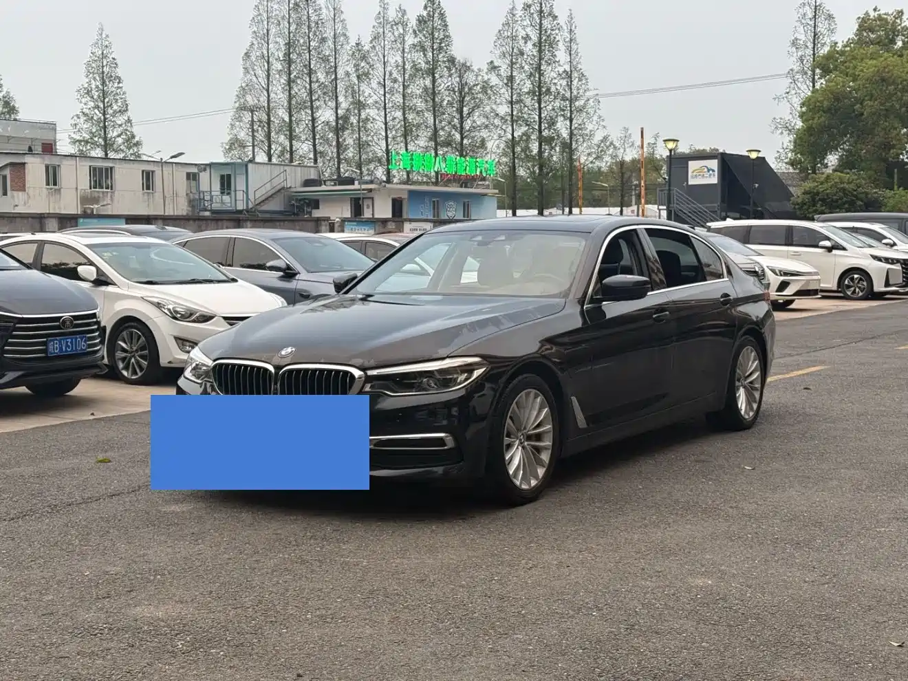 BMW 5 Series New Energy 2020 530Le Range Upgrade Luxury Package