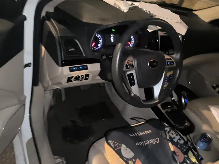 BYD e5 2018 450 Connected Enjoyment фото 12