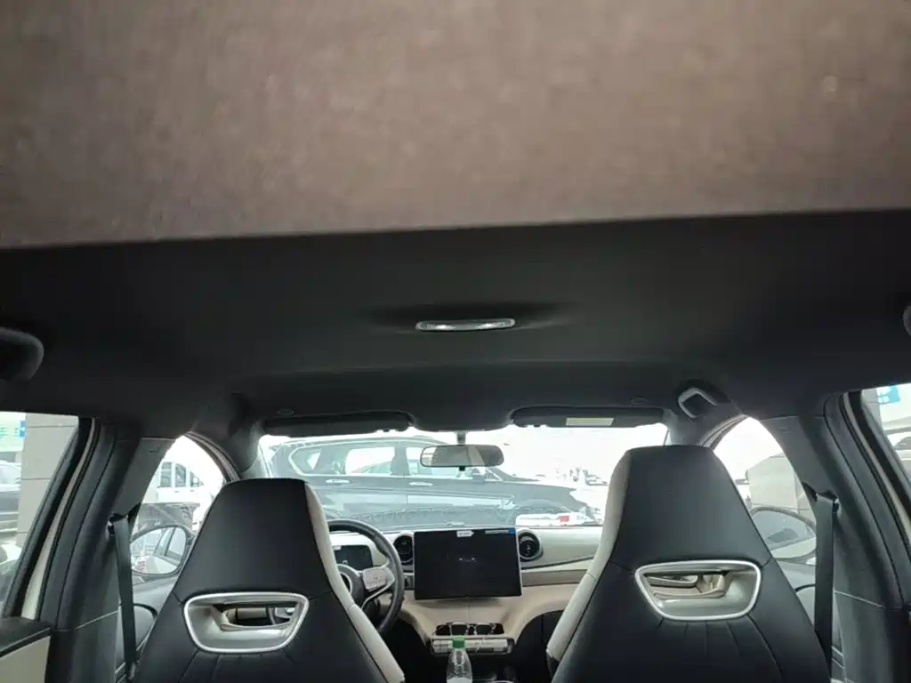 BYD Dolphin 2026 2025 420km Freedom Edition