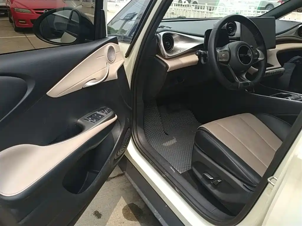 BYD Dolphin 2023 420km Fashion Edition фото 12