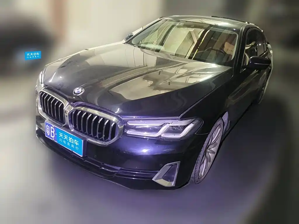 BMW BMW 5 Series 2021 530Li Premium Luxury Package
