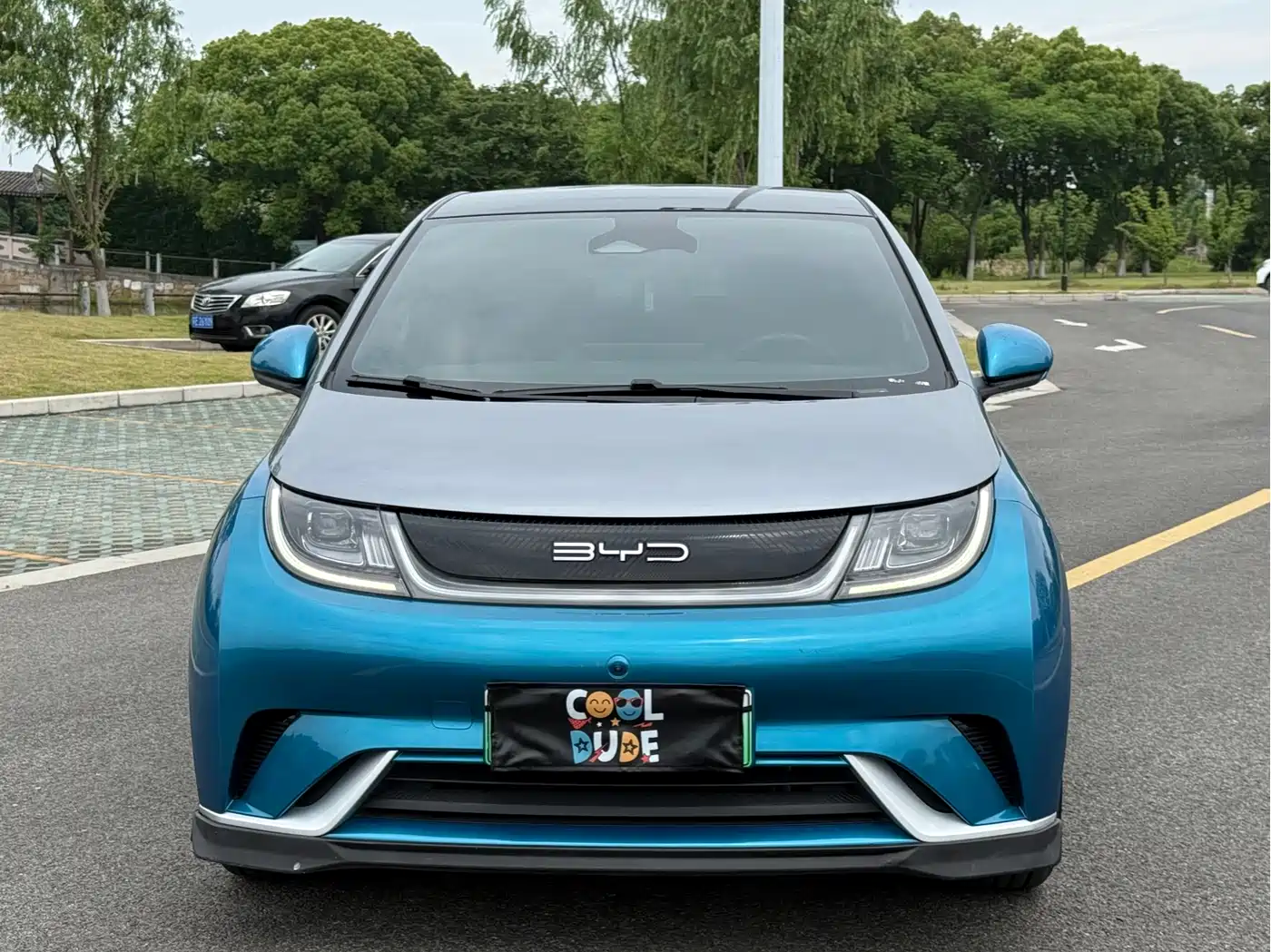 BYD Dolphin 2021 401km Knight Edition фото 2