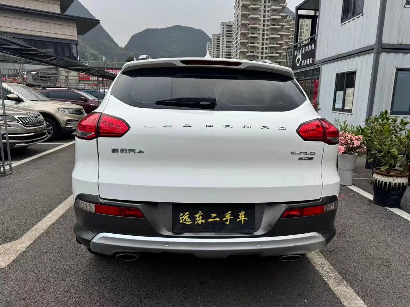 CHEETAH CARS CHEETAH CS10