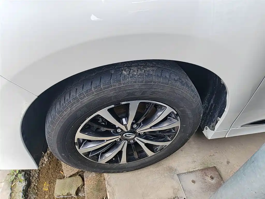 GAC Trumpchi Trumpchi M8 2024 Leadershow Series 390T Luxury Edition фото 23
