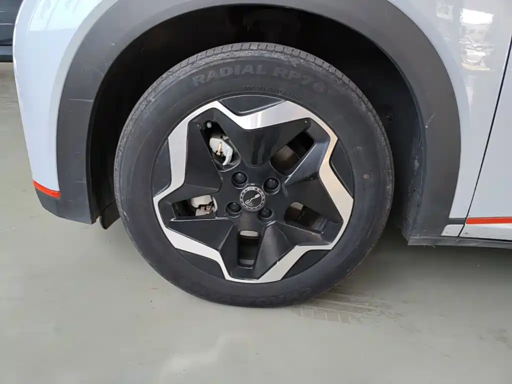 BYD Dolphin 2021 2021 Model 405km Fashion Edition