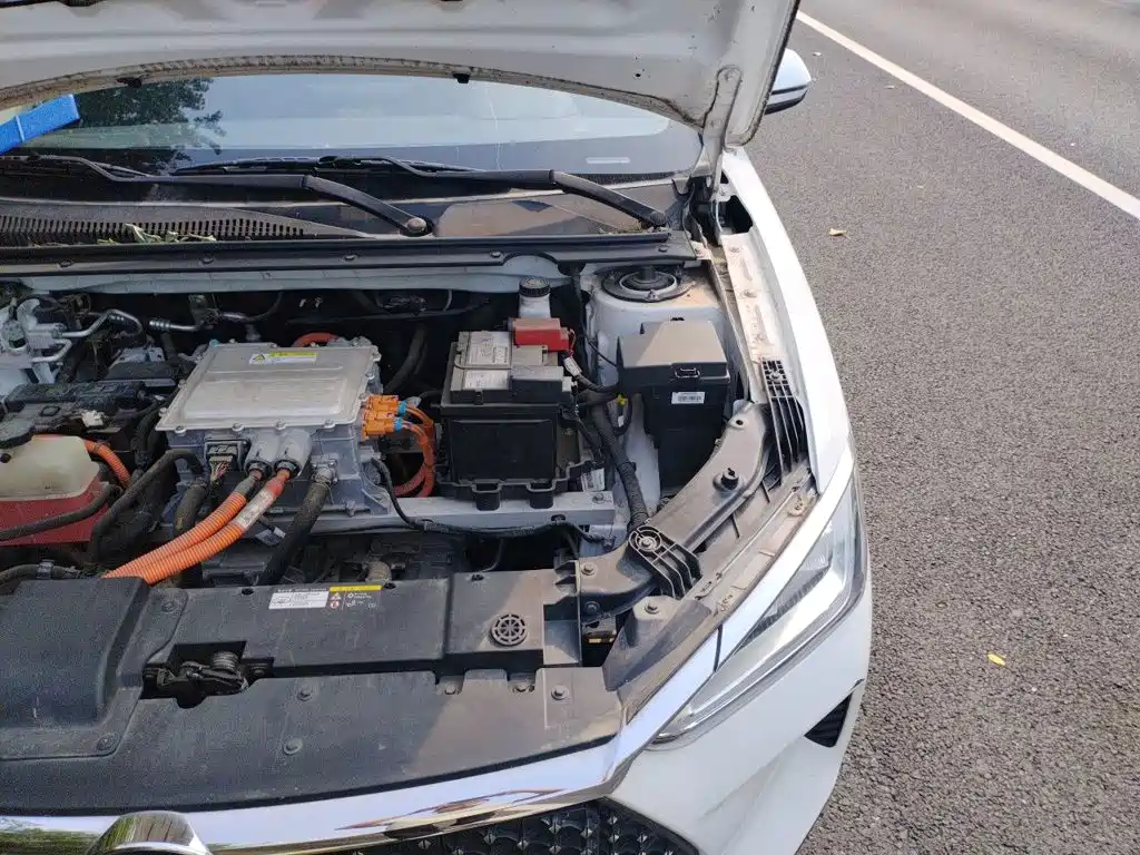 BYD e2 2020 2019 Long Range Yao·Luxury Model