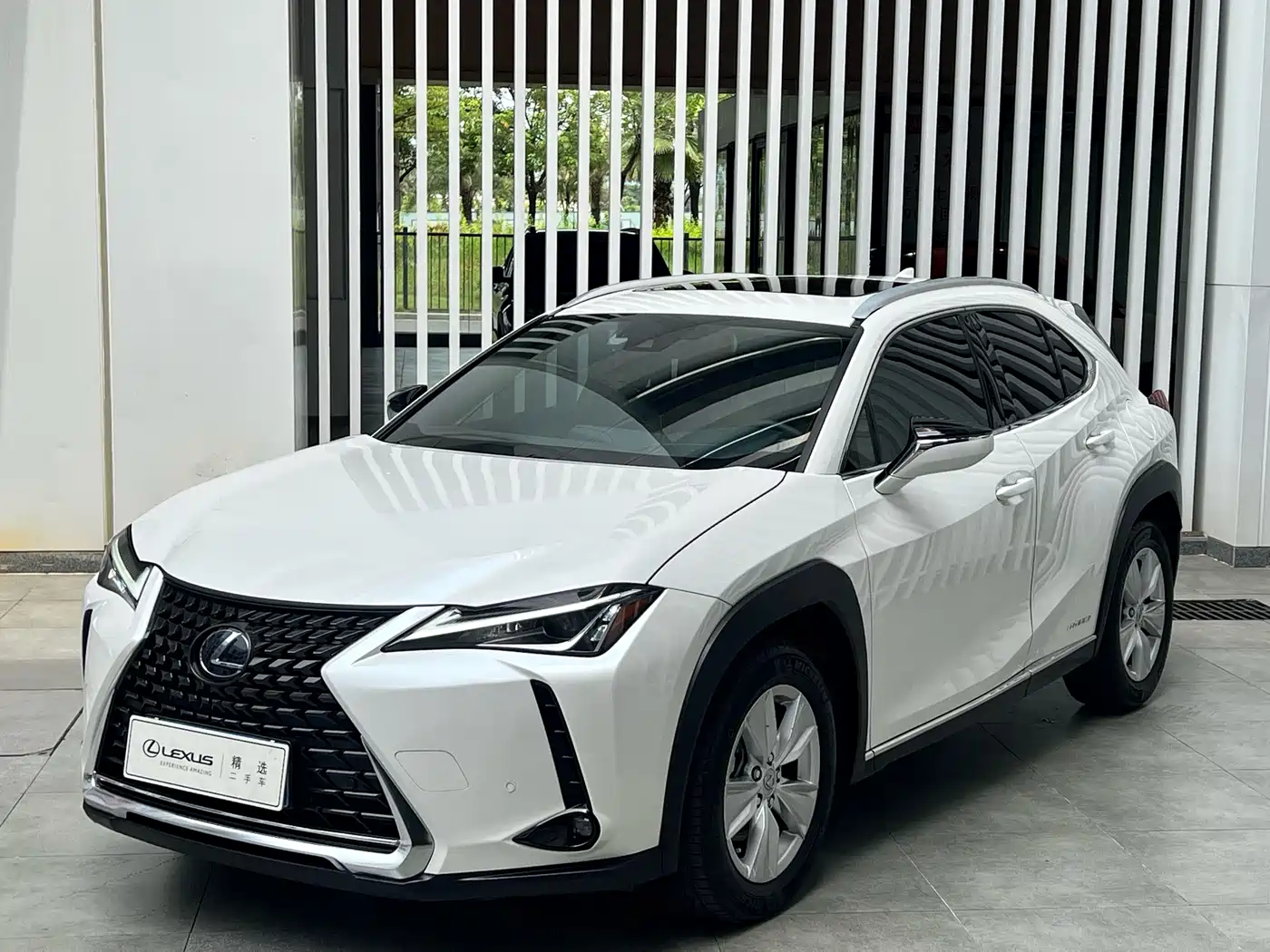 Lexus UX 2021 2020 260h Explore Fun Edition China V