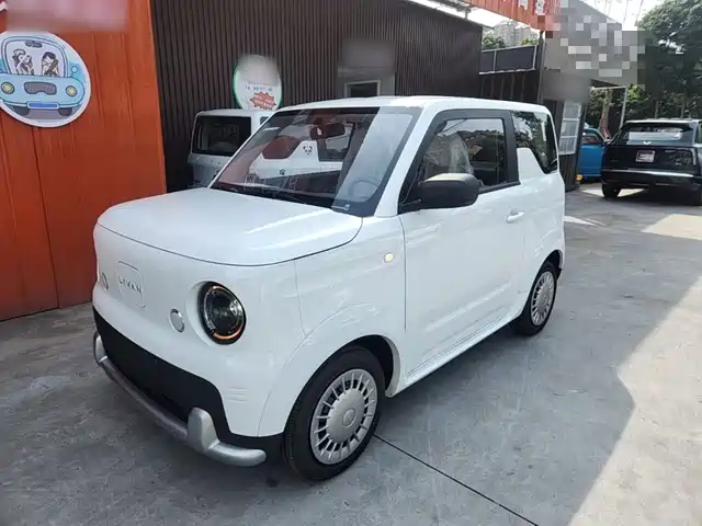  Ruilan Auto Ruilan Blue Elf 2025 Base Model