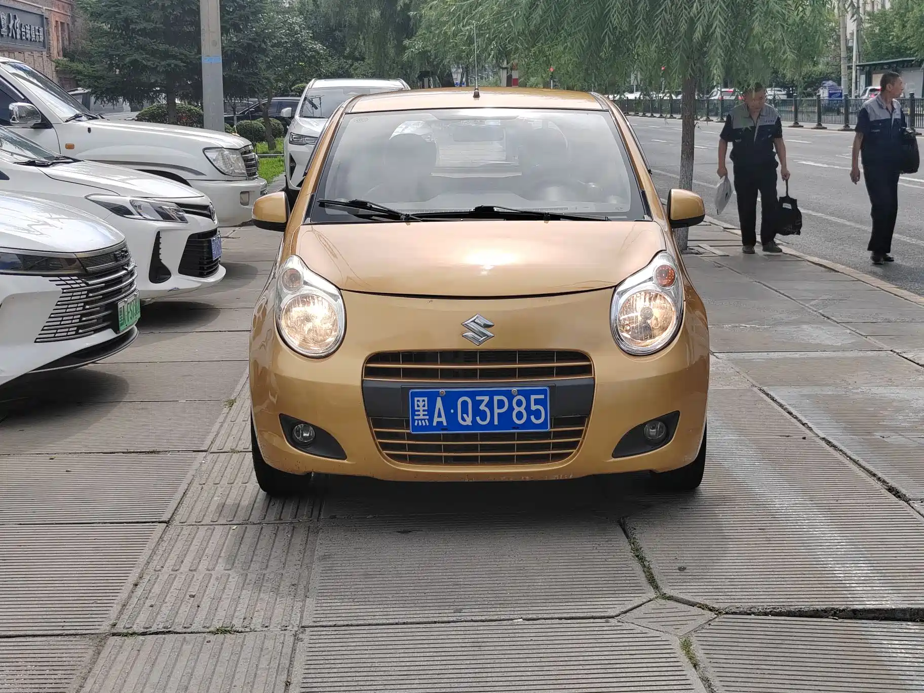 صورة 2 - Suzuki Alto