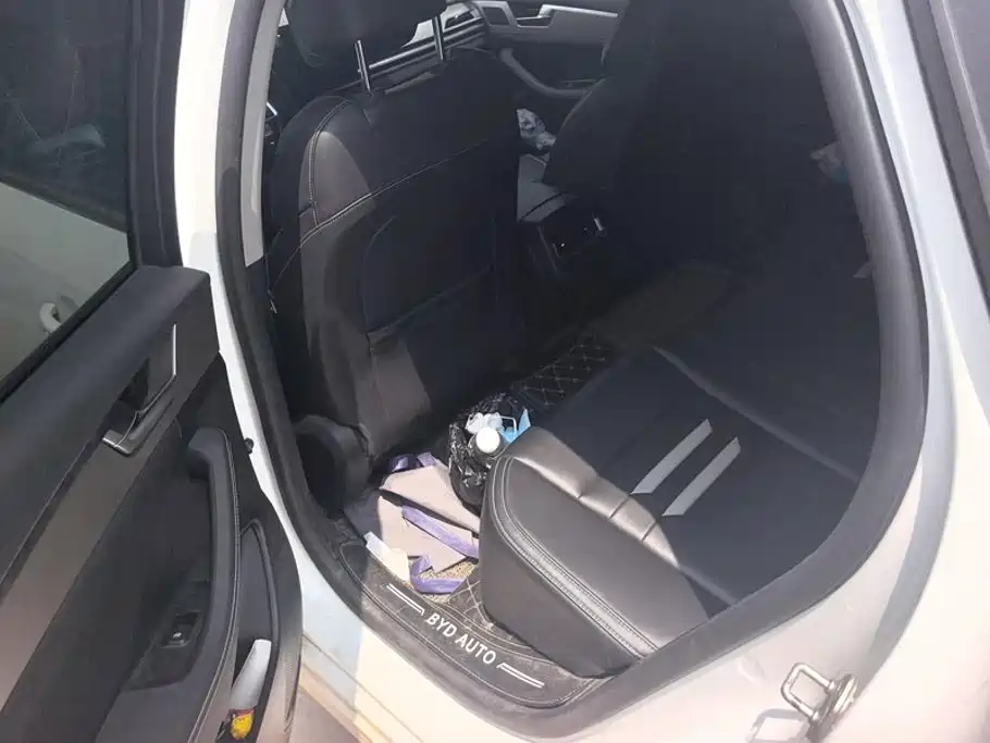 BYD Qin Pro 2020 2020 Surpass Edition 1.5TI Automatic Flagship