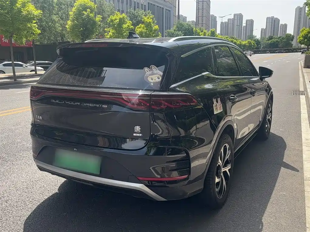 BYD Tang New Energy 2025 Smart Driving Edition DM-i 115KM Honor фото 9