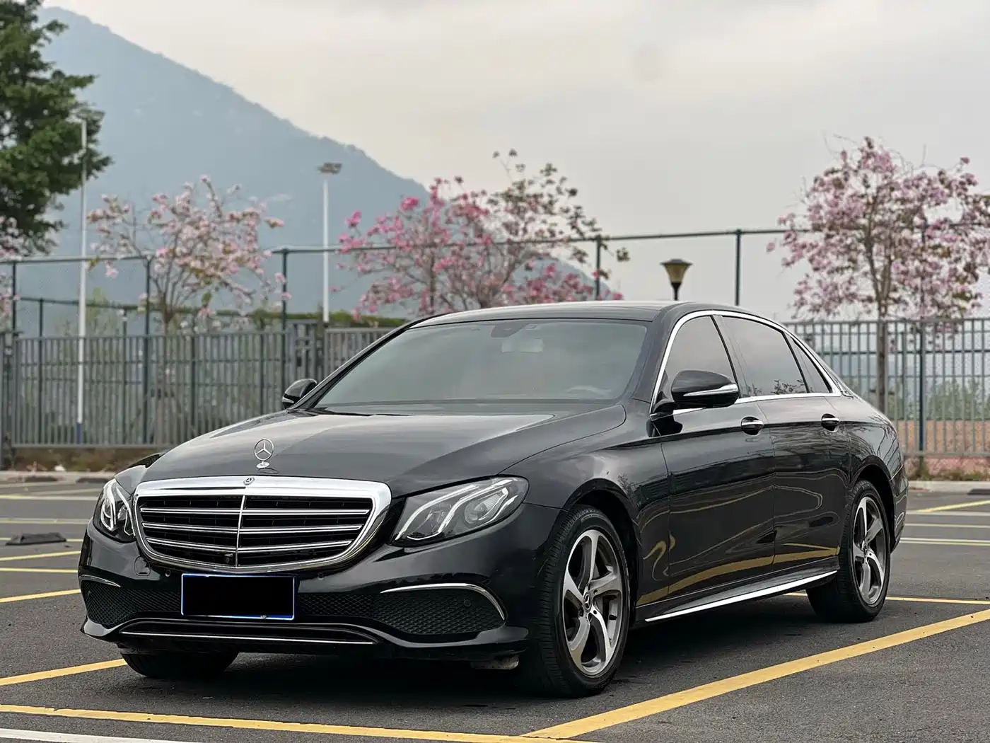Mercedes-Benz E-Class 2019 E 300 L Sport Fashion фото 3
