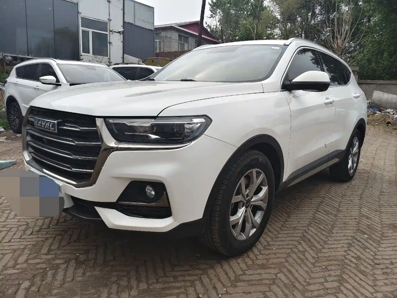 Haval H6 2021 Model National Trend Edition 1.5T Auto Champion