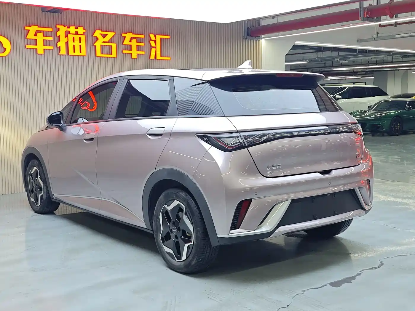 BYD Dolphin 2021 Model 405km Fashion Edition фото 19